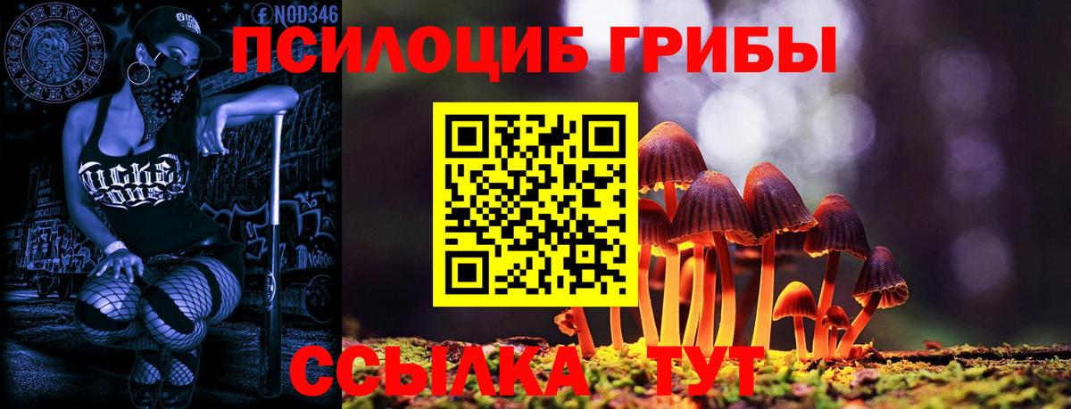 Кохма  Псилоцибиновые грибы GOLDEN TEACHER  Вход с VPN 